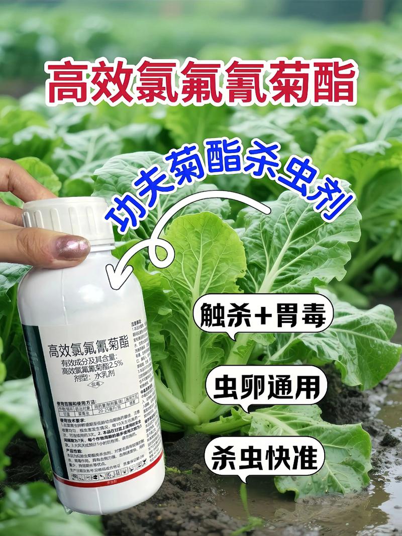 温州代生中心:农药对供卵代生妈妈的危害